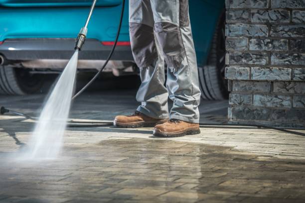 Best Soft Washing  in Brookville, NY